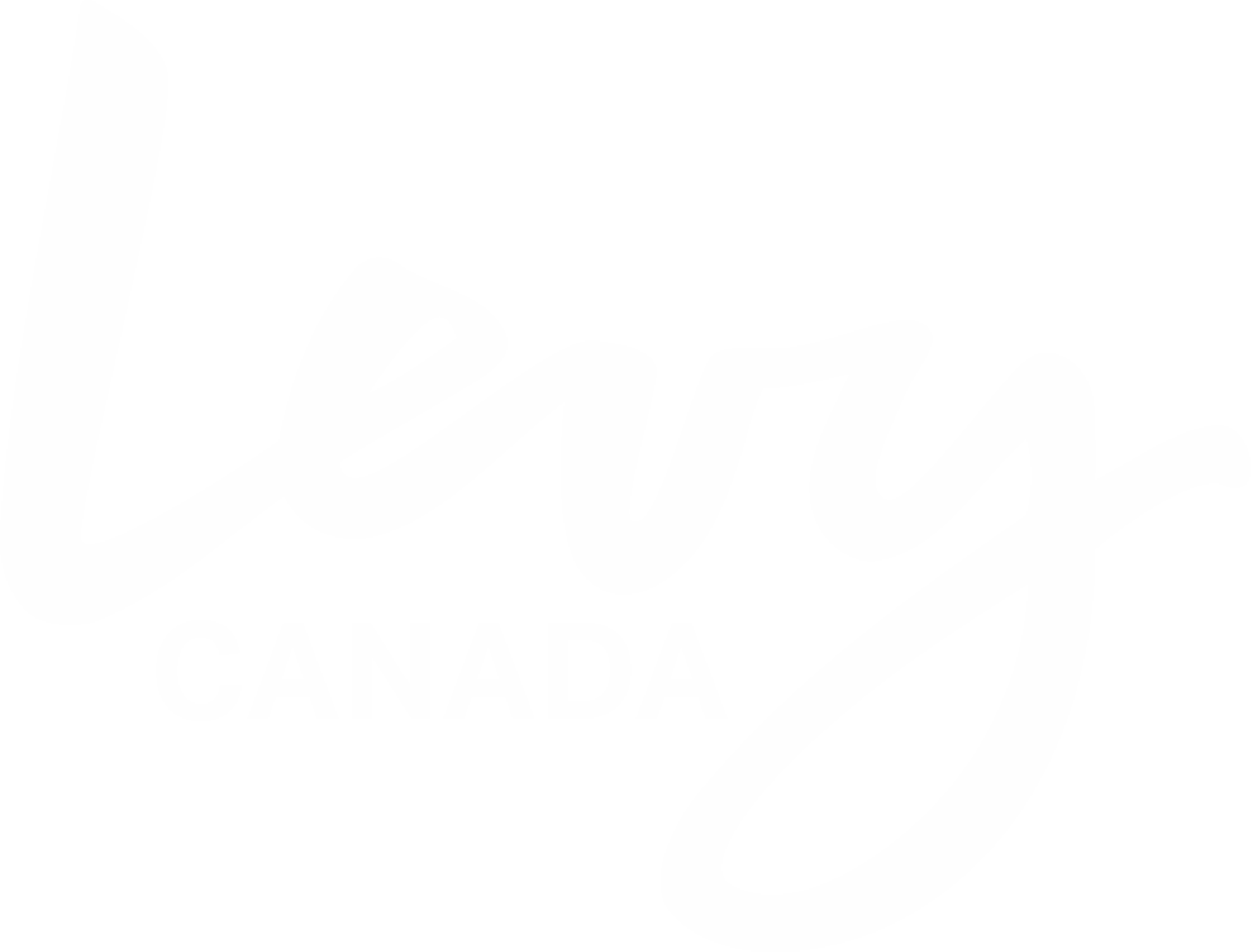 lrc_levy_canada_logo_24